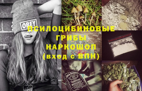 spice Медвежьегорск