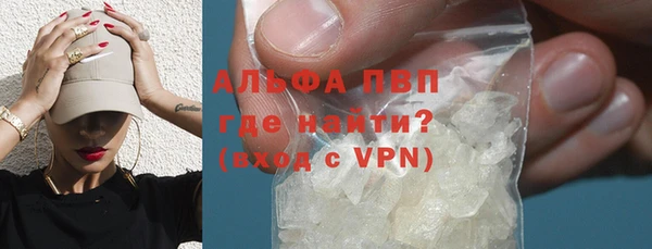 гидра Вяземский