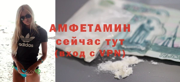 гидра Вяземский