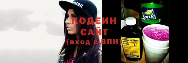 гидра Вяземский