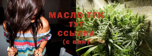 гидра Вяземский