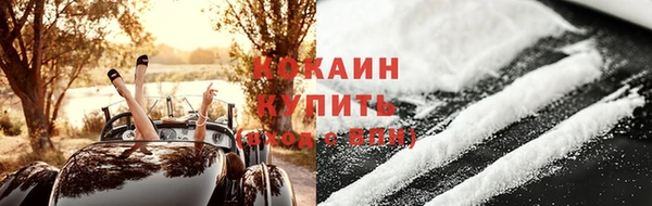 гидра Вяземский