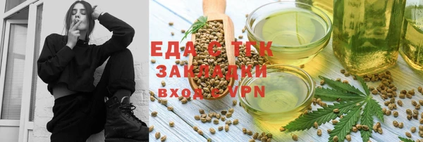 гидра Вяземский