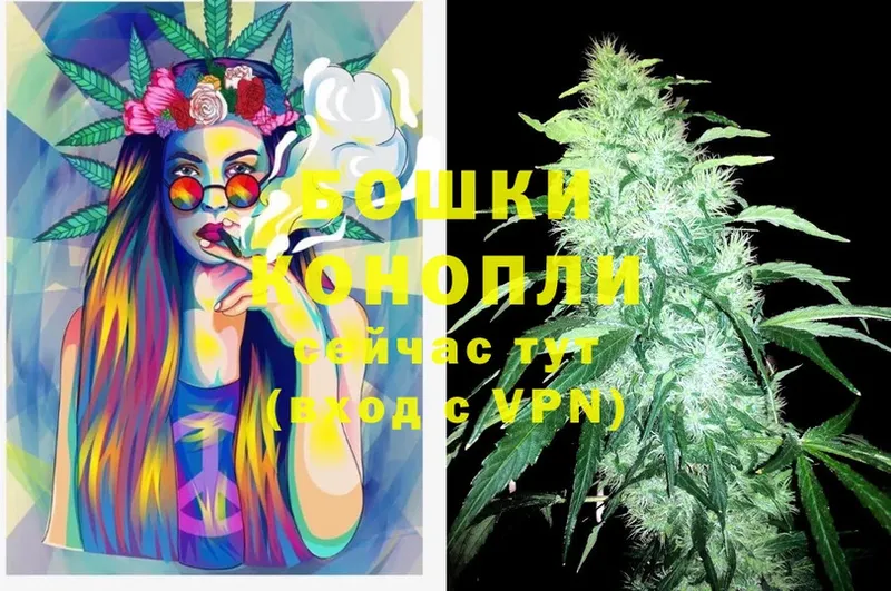 mega tor  Горбатов  Бошки марихуана OG Kush 